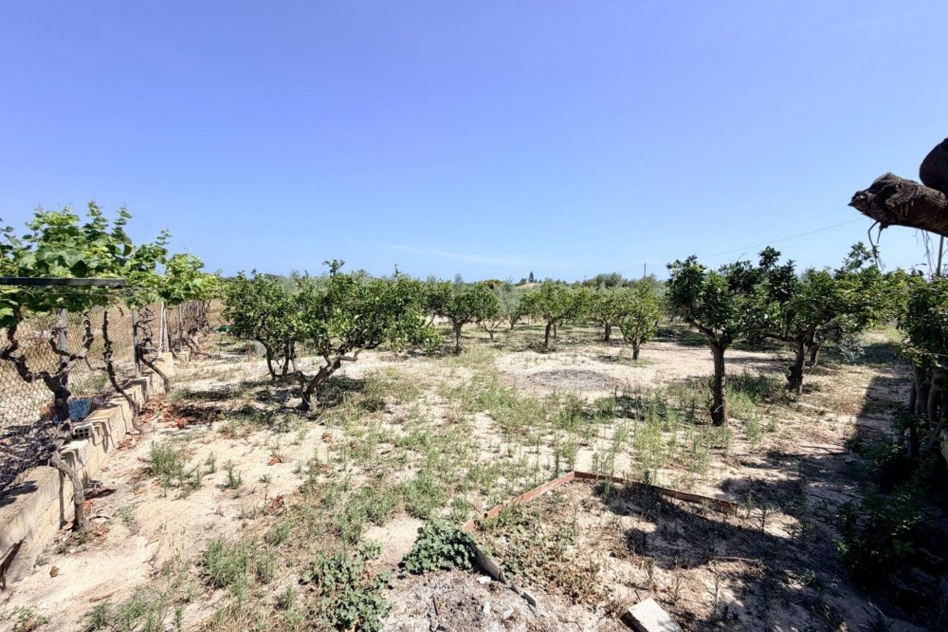 Resale - Country House -
La Marina - Costa Blanca