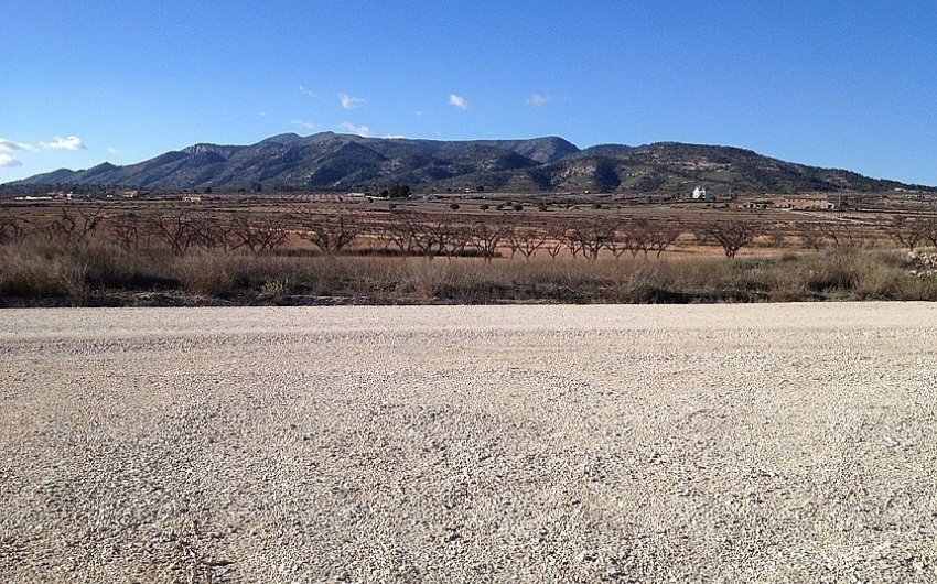 Resale - Country House -
Pinoso