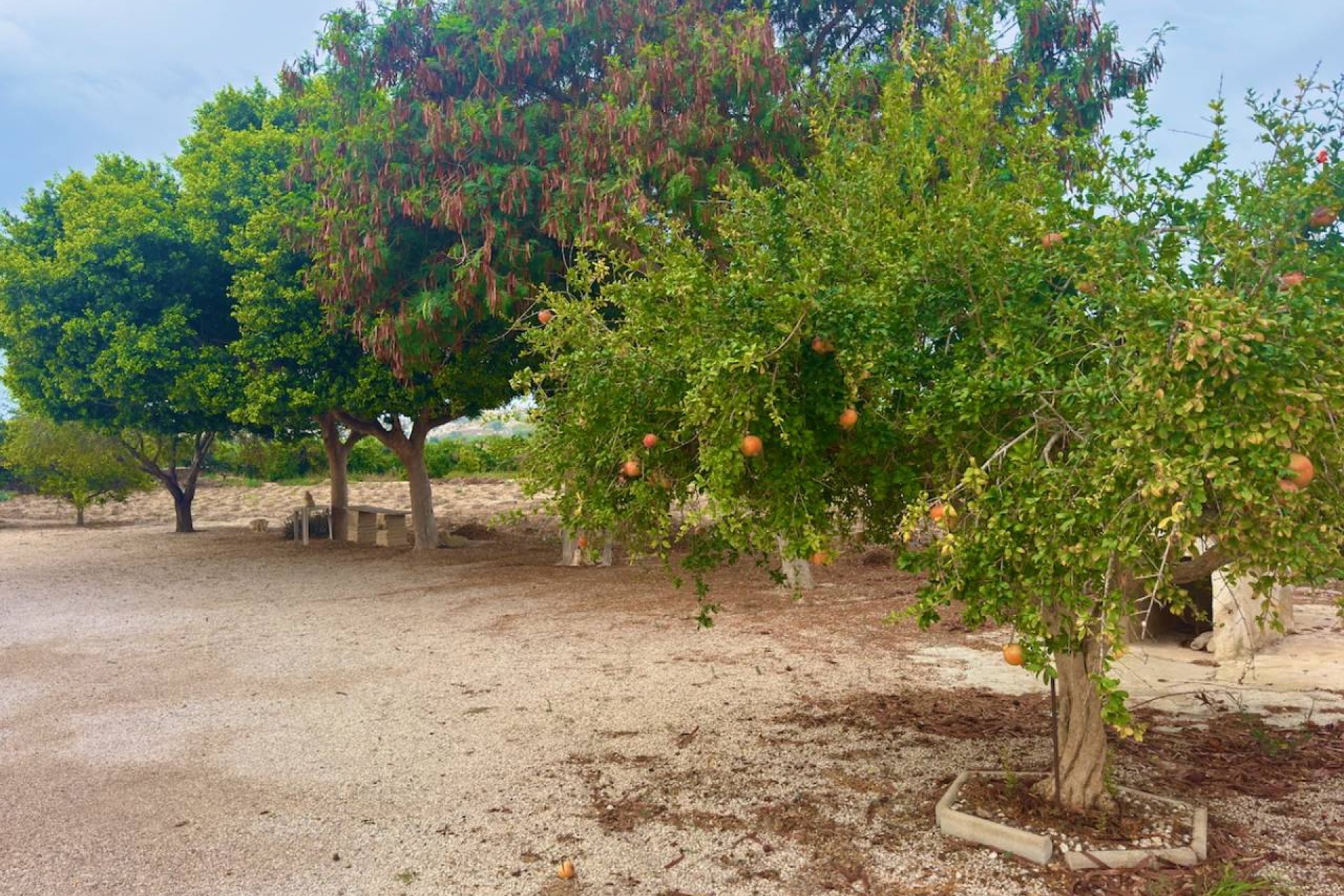 Resale - Country House -
Rojales - Ciudad Quesada