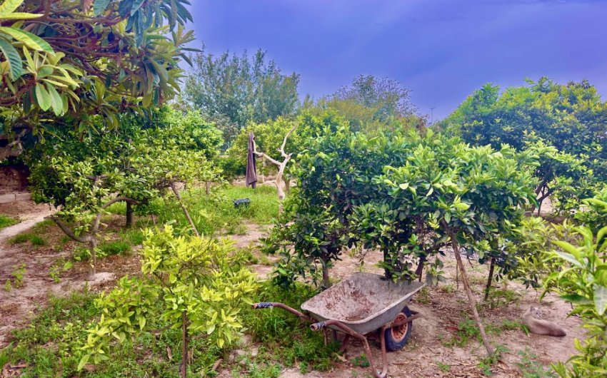 Resale - Country House -
Rojales - Ciudad Quesada