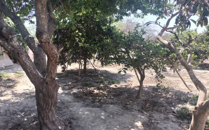 Resale - Country House -
Rojales - Ciudad Quesada