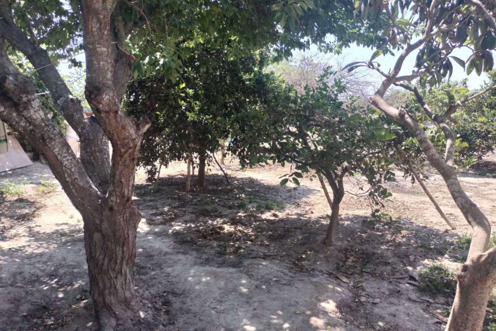 Resale - Country House -
Rojales - Ciudad Quesada