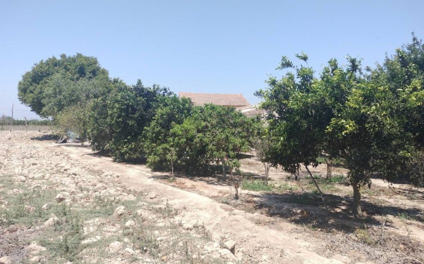 Resale - Country House -
Rojales - Ciudad Quesada