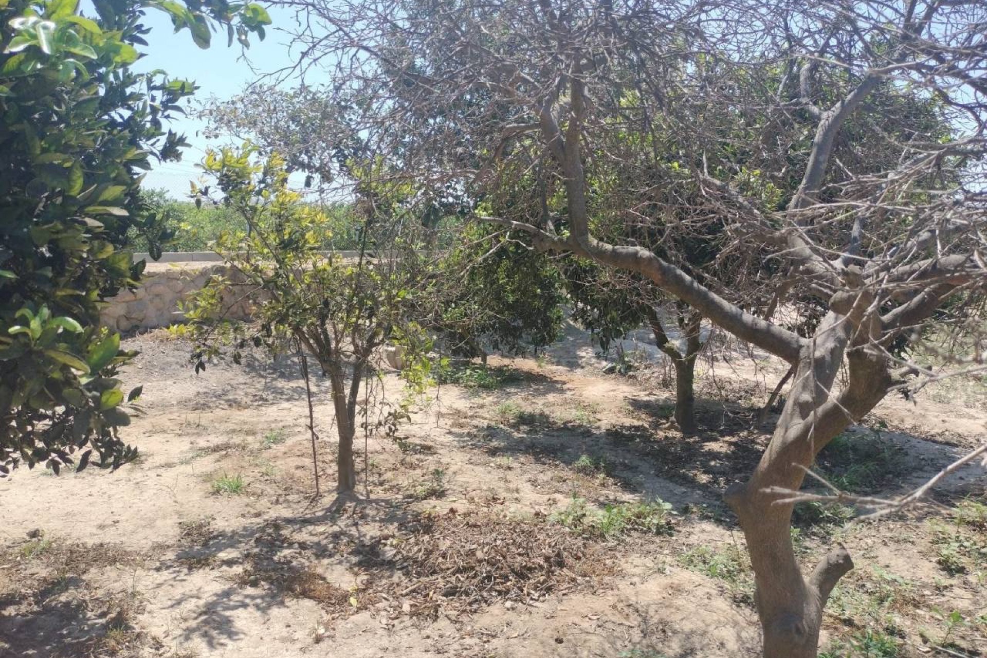 Resale - Country House -
Rojales - Ciudad Quesada