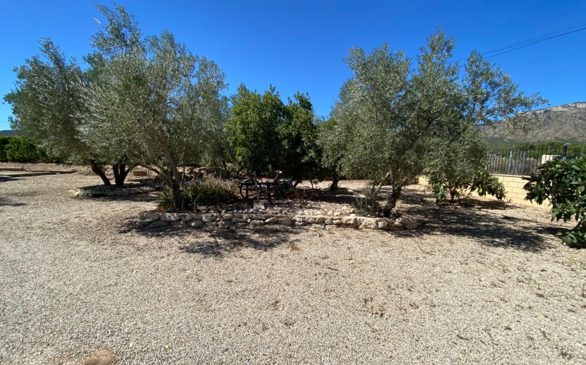 Resale - Country House -
Salinas