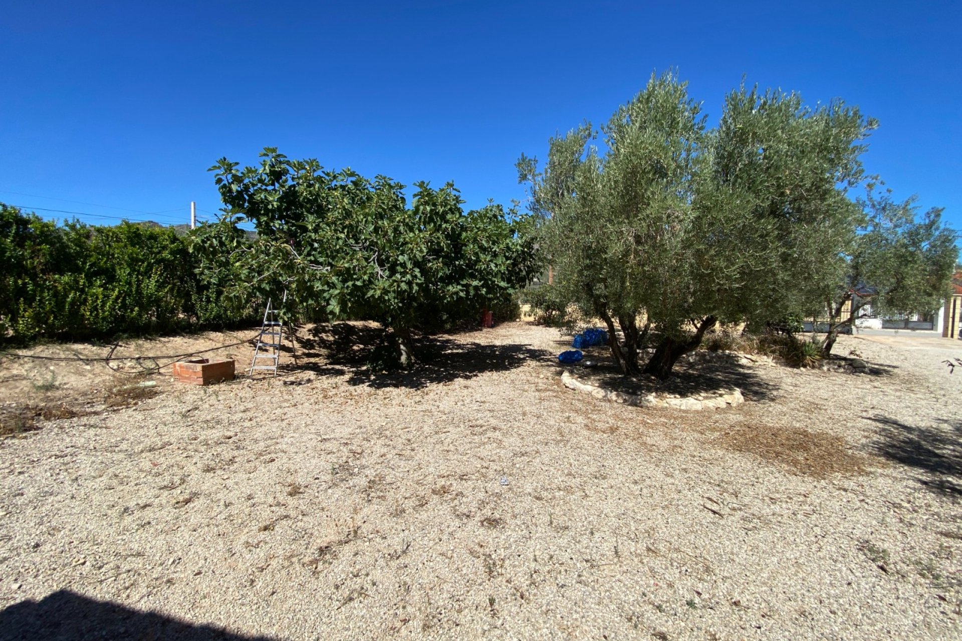 Resale - Country House -
Salinas