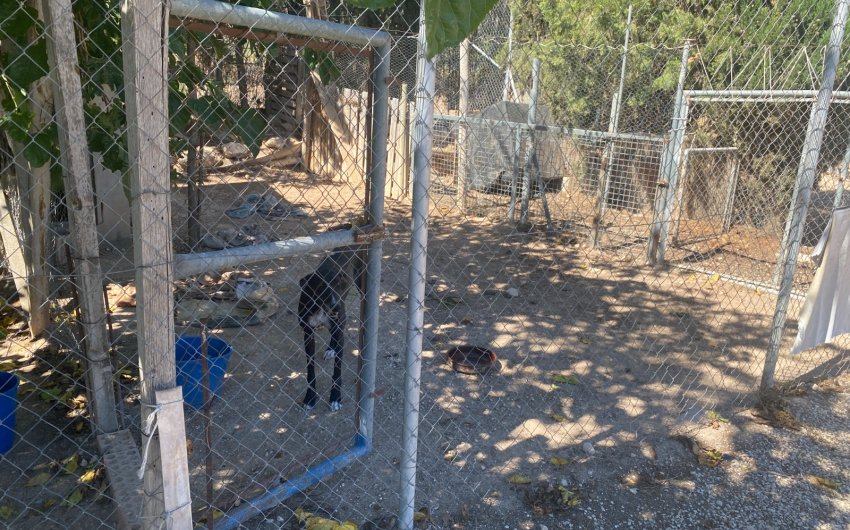 Resale - Country House -
Salinas