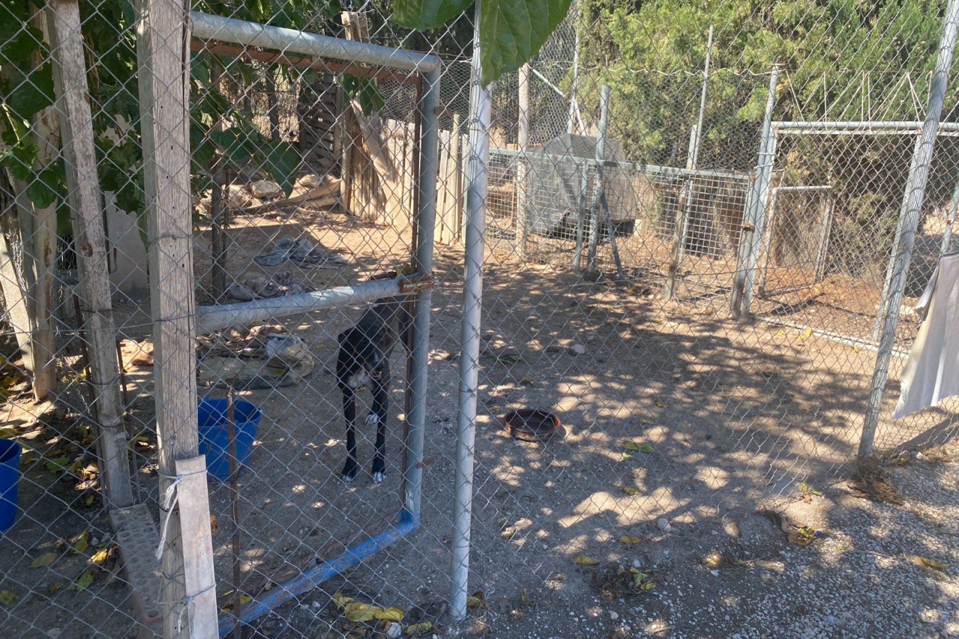 Resale - Country House -
Salinas