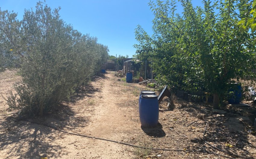 Resale - Country House -
Salinas