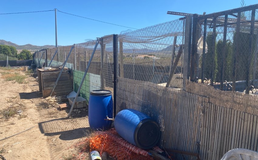 Resale - Country House -
Salinas