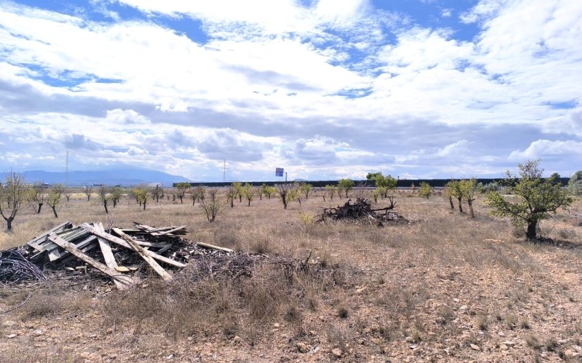 Resale - Country House -
Yecla - Inland