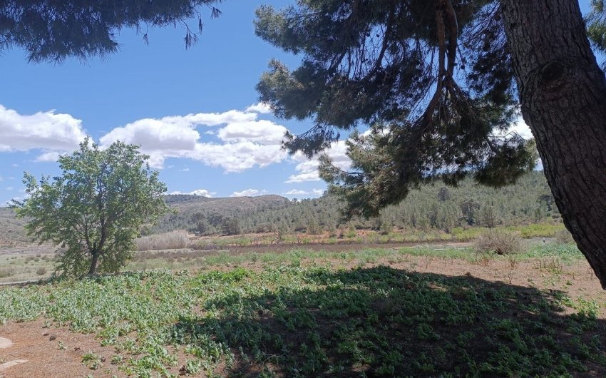 Resale - Country House -
Yecla - Inland