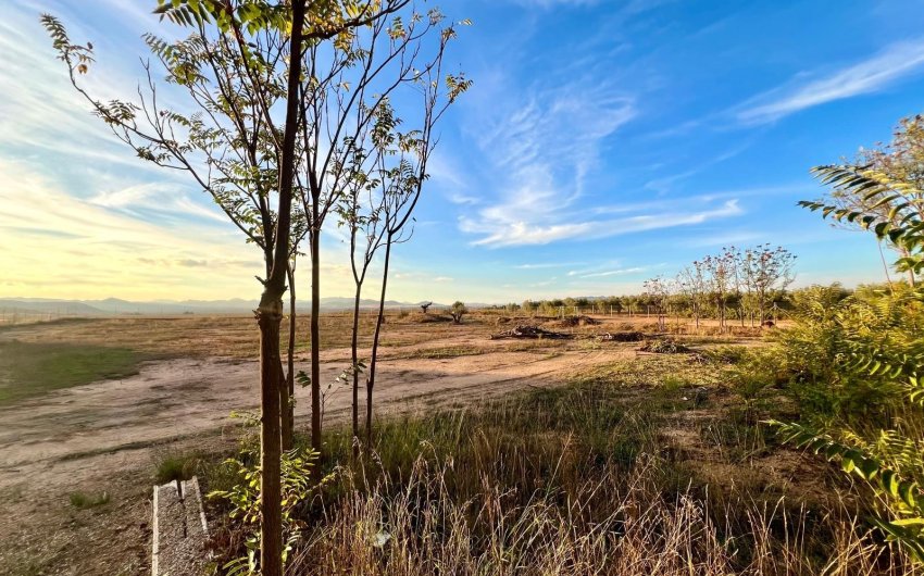 Resale - Country House -
Yecla - Inland