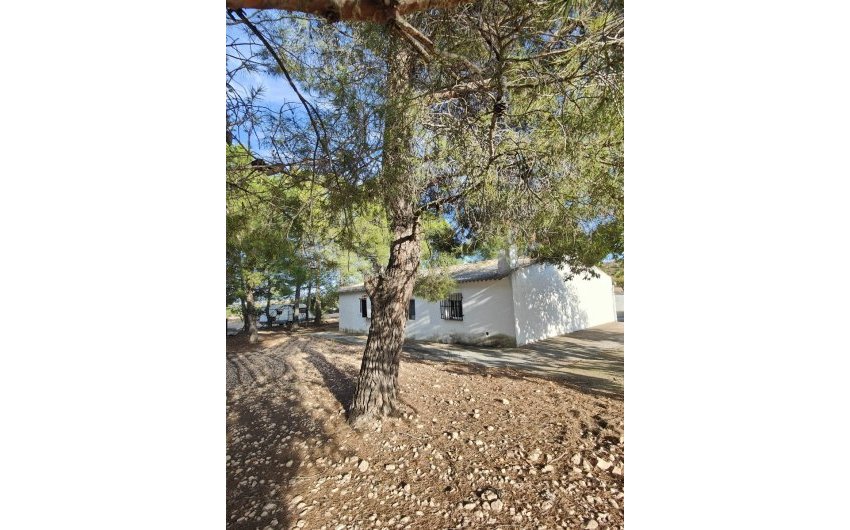 Resale - Country House -
Yecla - Inland