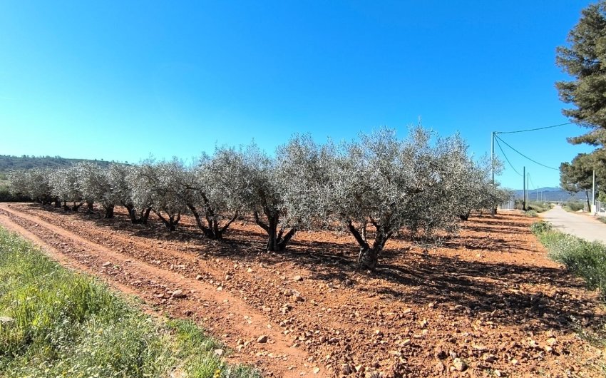 Resale - Country House -
Yecla - Inland