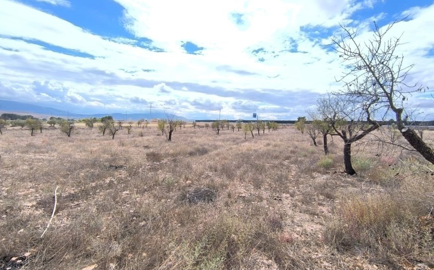 Resale - Country House -
Yecla - Inland