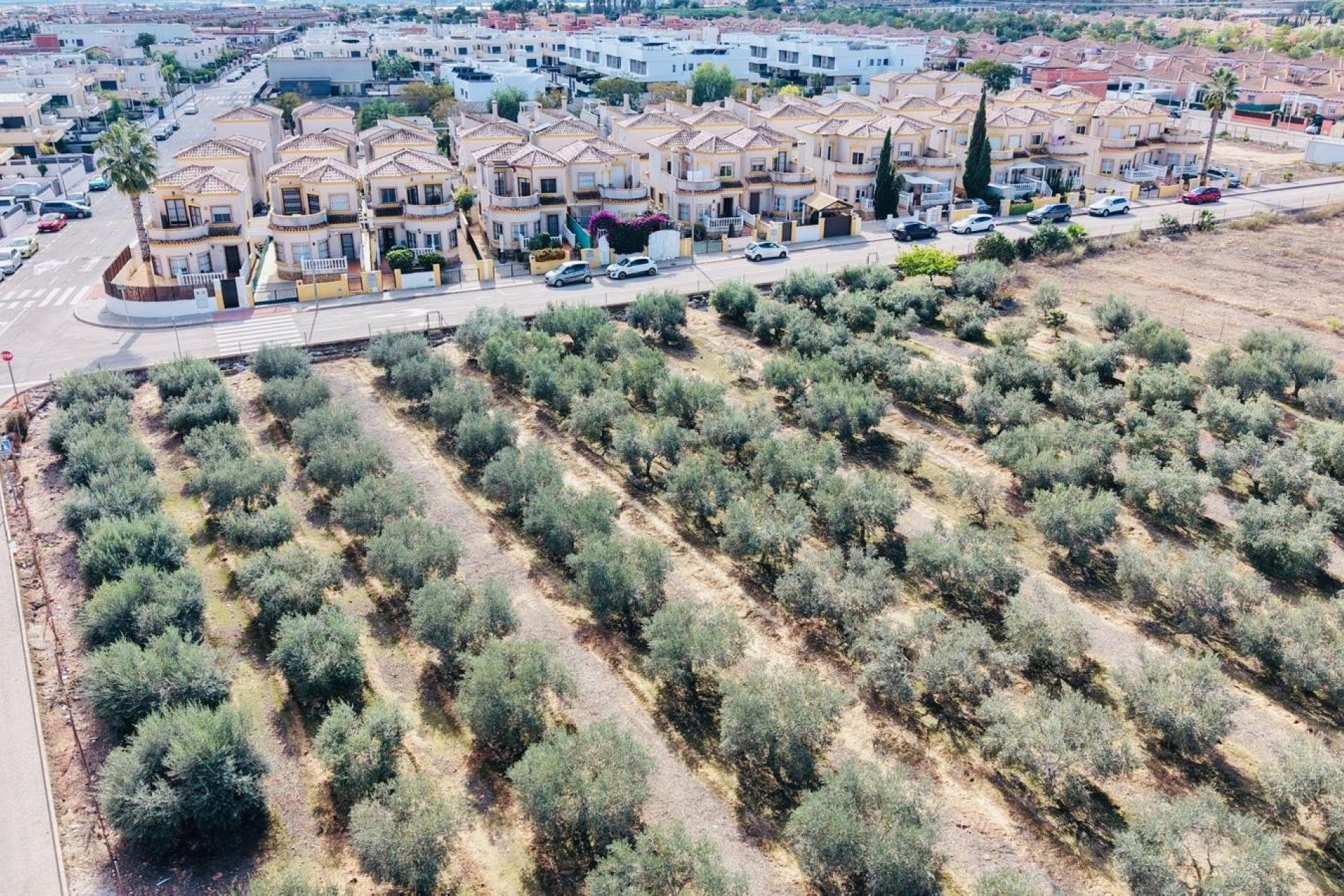 Resale - Detached Villa -
Los Montesinos - La Herrada