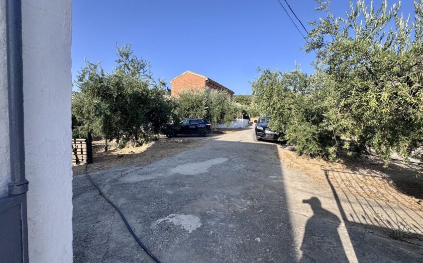 Resale - Finca -
Algarinejo - Inland