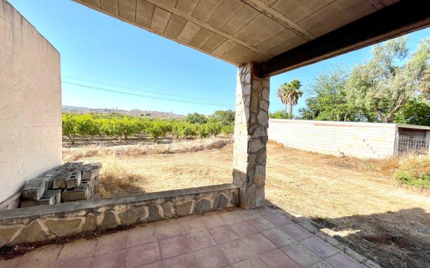Resale - Finca / Country Property -
Elche - Matola