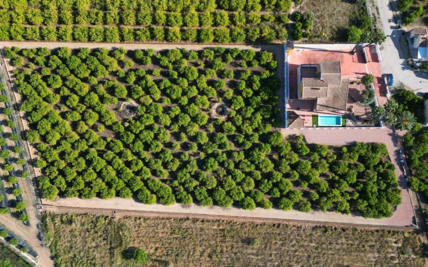 Resale - Finca Country Property -
Orihuela