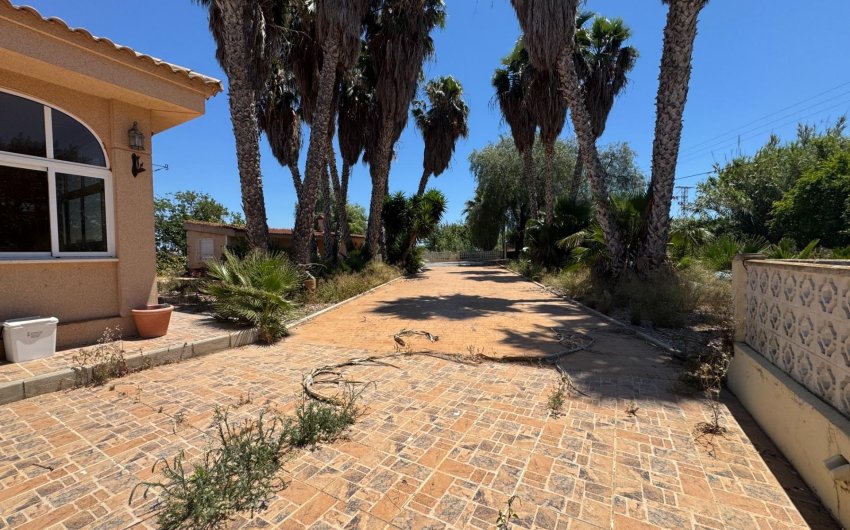 Resale - Finca -
Dolores - Comunidad Valenciana