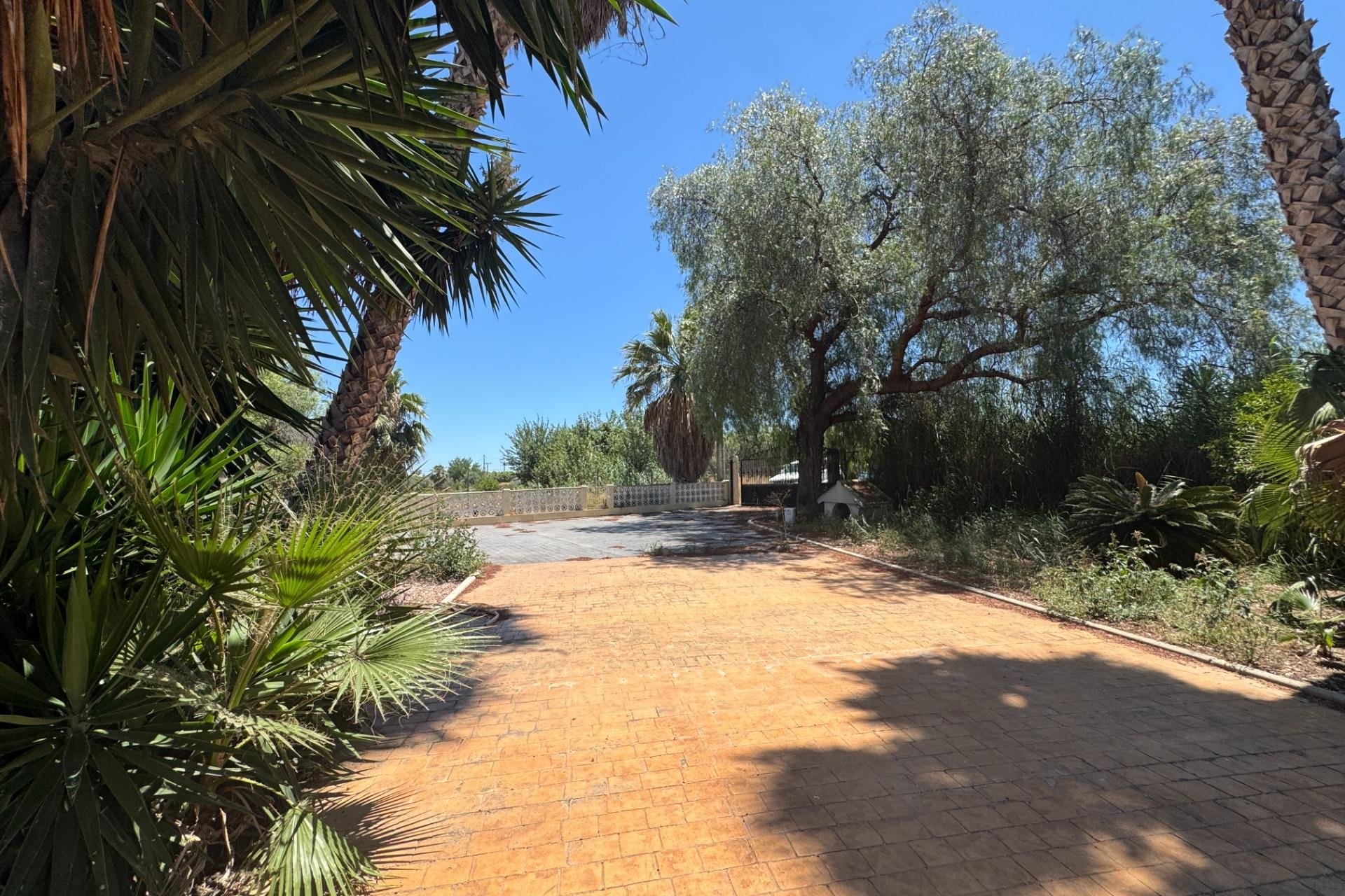 Resale - Finca -
Dolores - Comunidad Valenciana