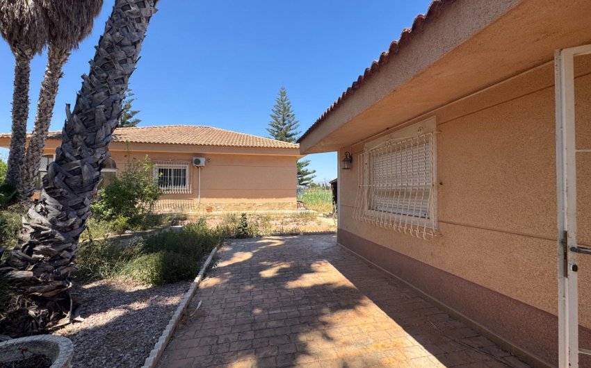 Resale - Finca -
Dolores - Comunidad Valenciana