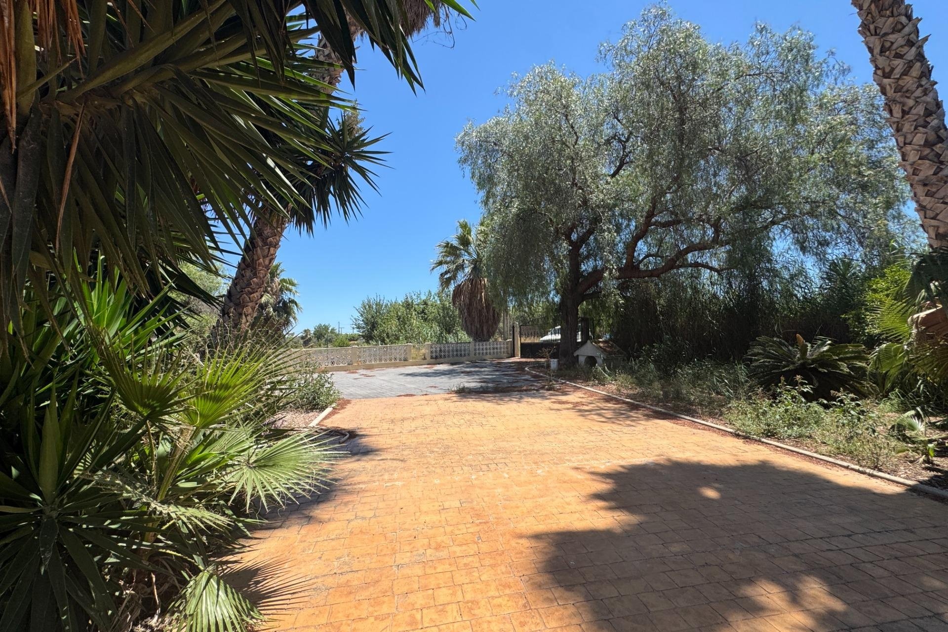 Resale - Finca -
Dolores - Comunidad Valenciana