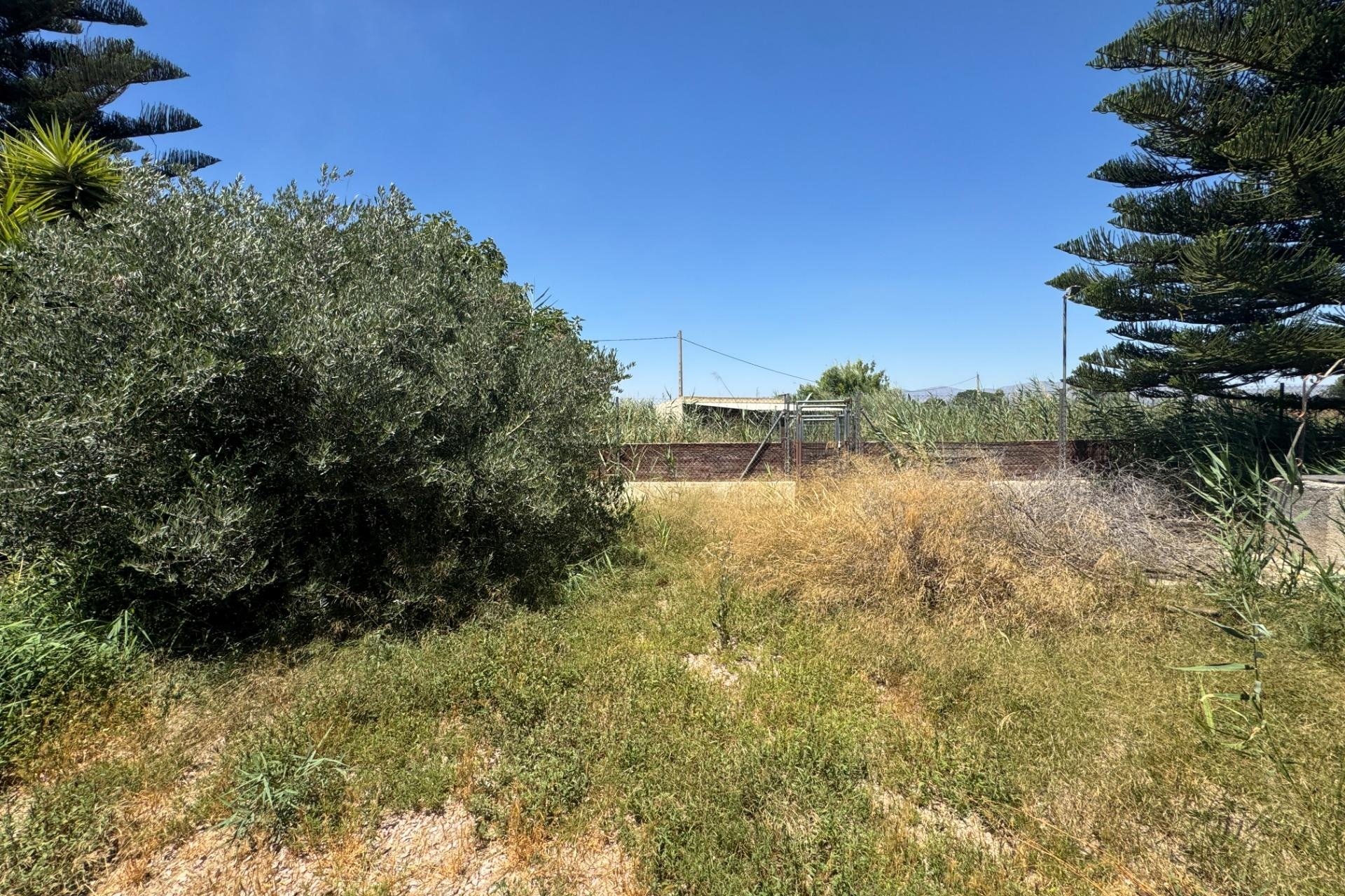 Resale - Finca -
Dolores - Comunidad Valenciana