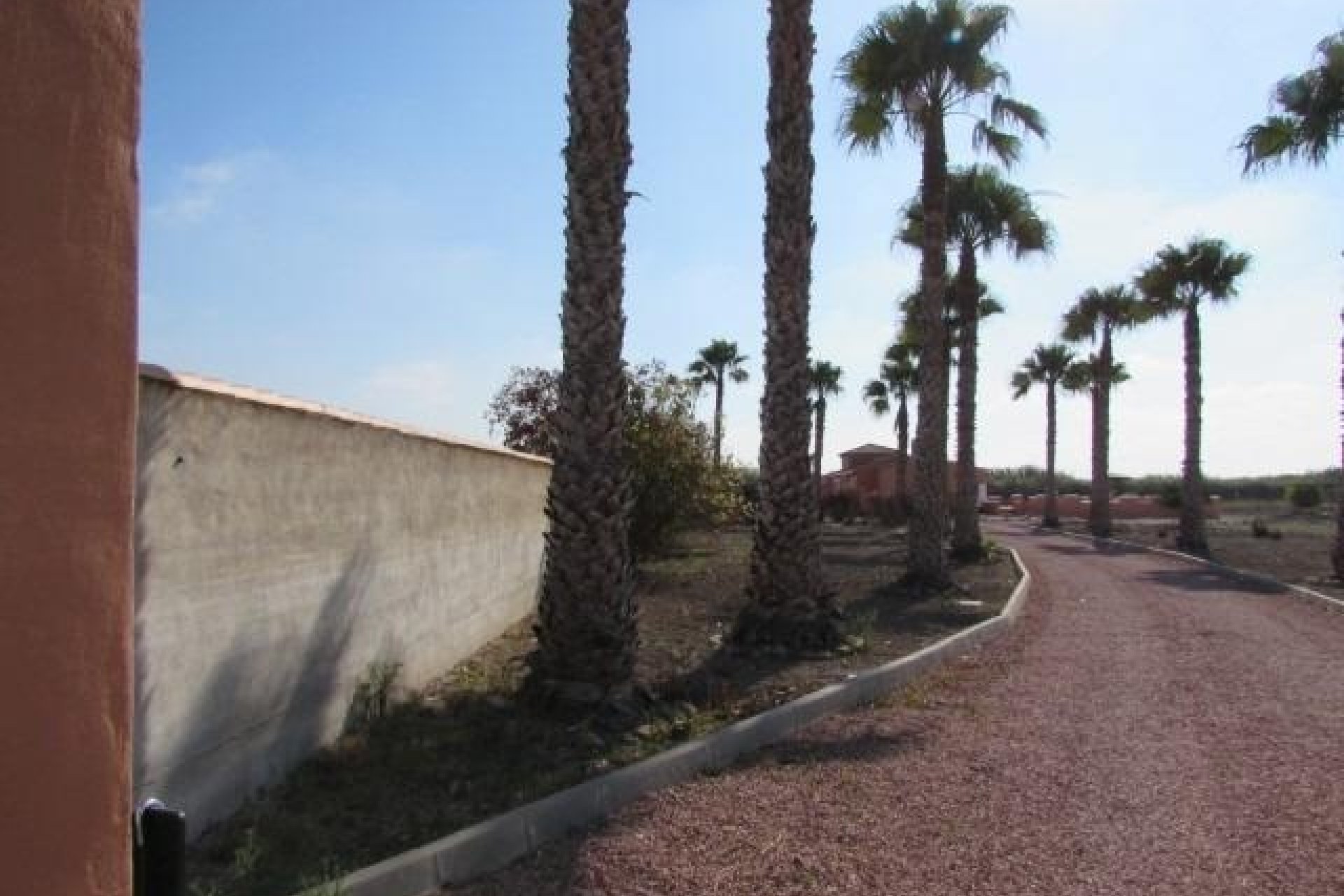 Resale - Finca -
Dolores - Comunidad Valenciana