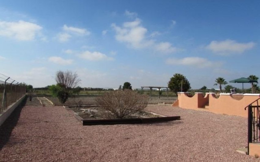Resale - Finca -
Dolores - Comunidad Valenciana