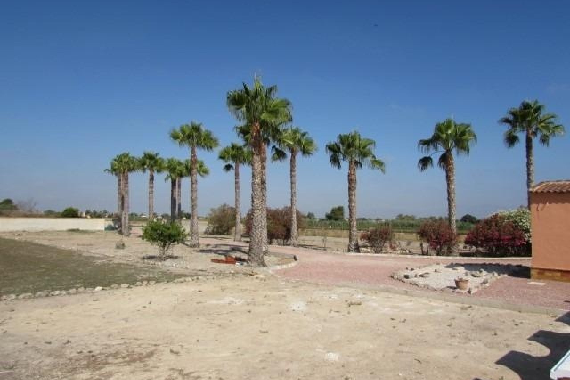 Resale - Finca -
Dolores - Comunidad Valenciana