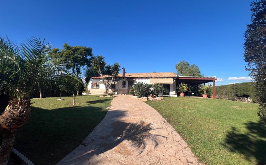 Resale - Finca -
Dolores - Comunidad Valenciana