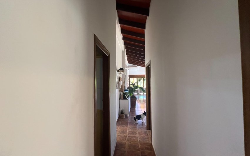 Resale - Finca -
Dolores - Comunidad Valenciana