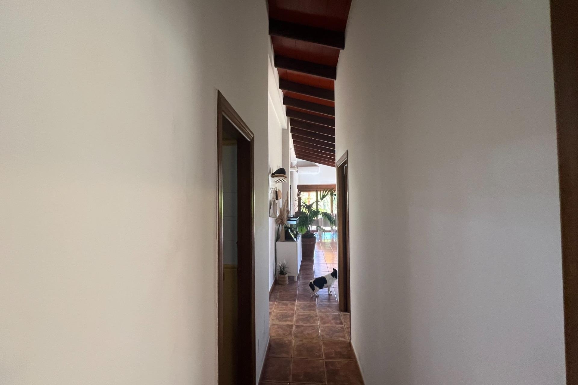 Resale - Finca -
Dolores - Comunidad Valenciana