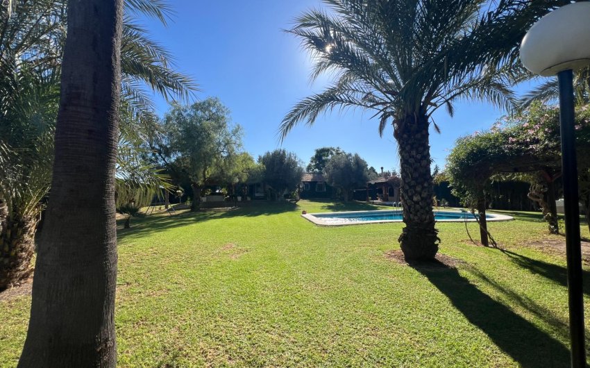 Resale - Finca -
Dolores - Comunidad Valenciana