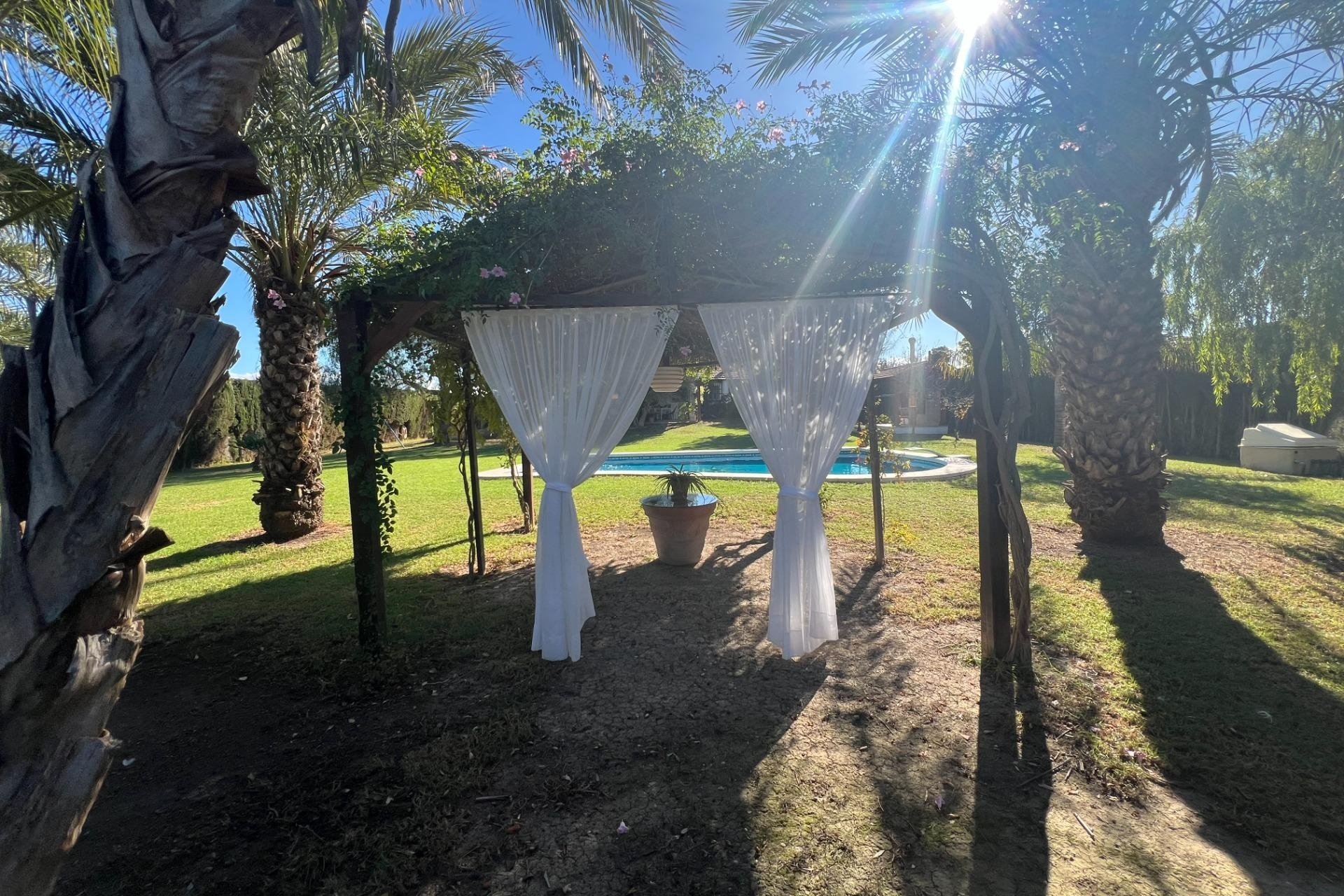 Resale - Finca -
Dolores - Comunidad Valenciana