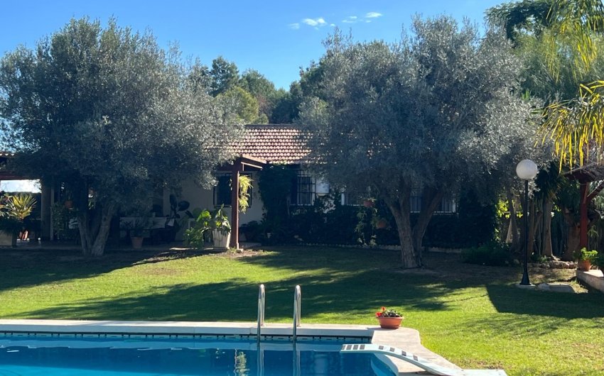 Resale - Finca -
Dolores - Comunidad Valenciana