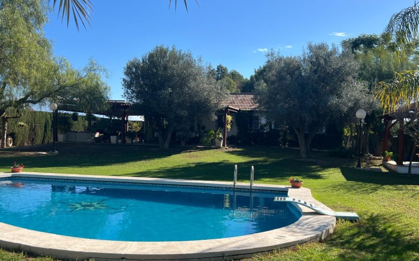 Resale - Finca -
Dolores - Comunidad Valenciana