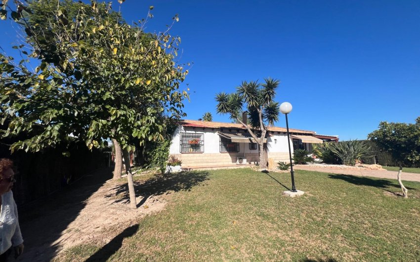 Resale - Finca -
Dolores - Comunidad Valenciana