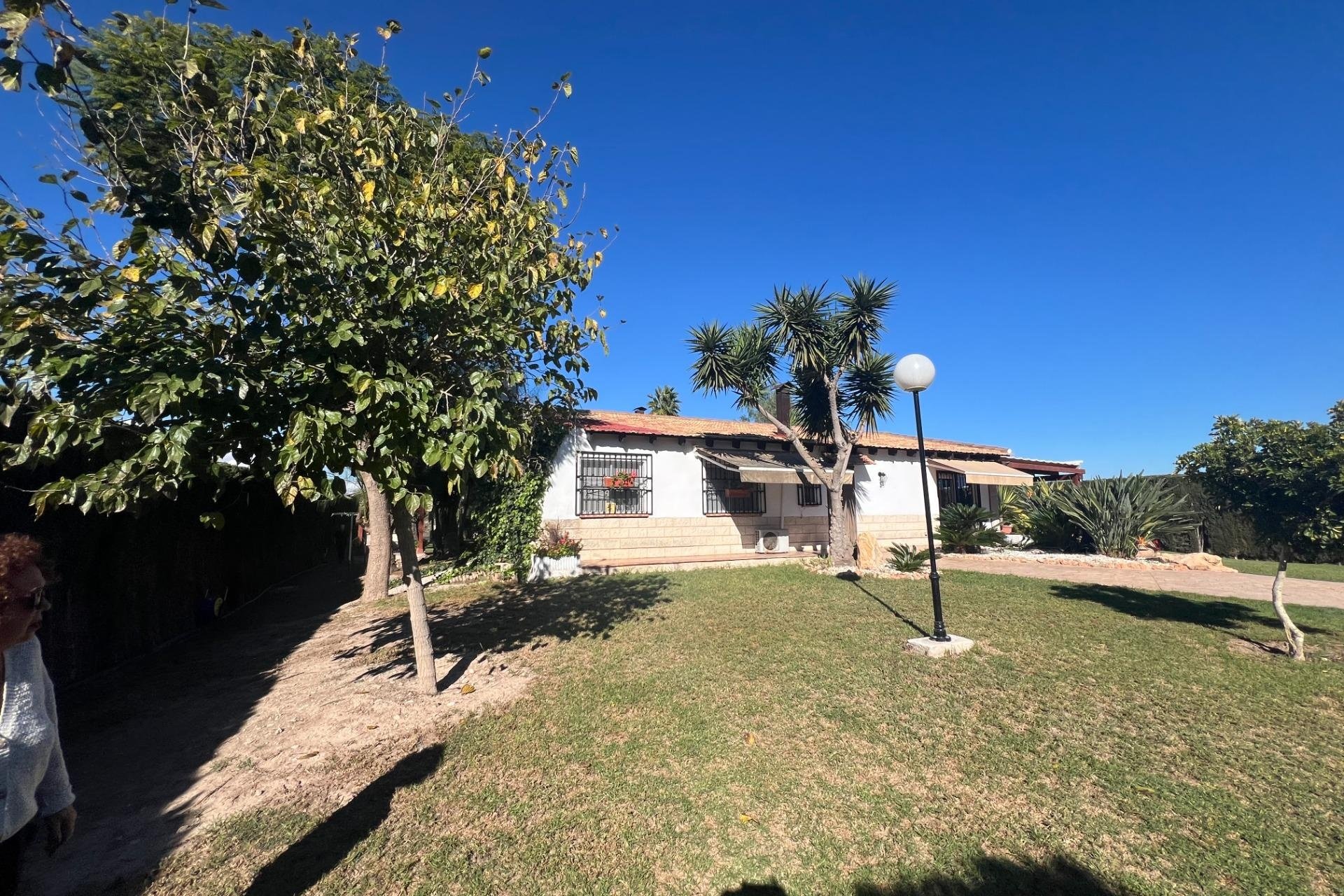 Resale - Finca -
Dolores - Comunidad Valenciana