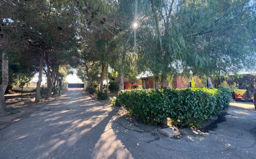 Resale - Finca -
Dolores - Comunidad Valenciana