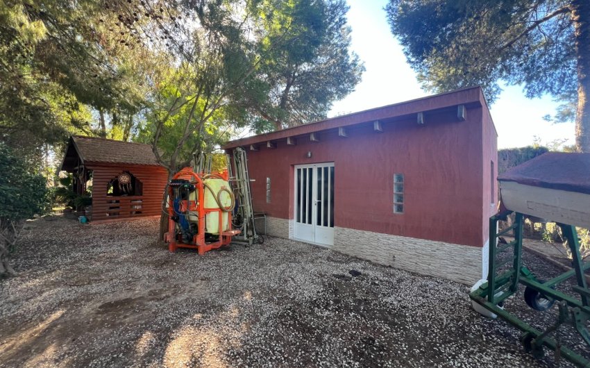 Resale - Finca -
Dolores - Comunidad Valenciana
