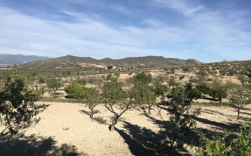 Resale - Finca -
Lorca - Costa Calida