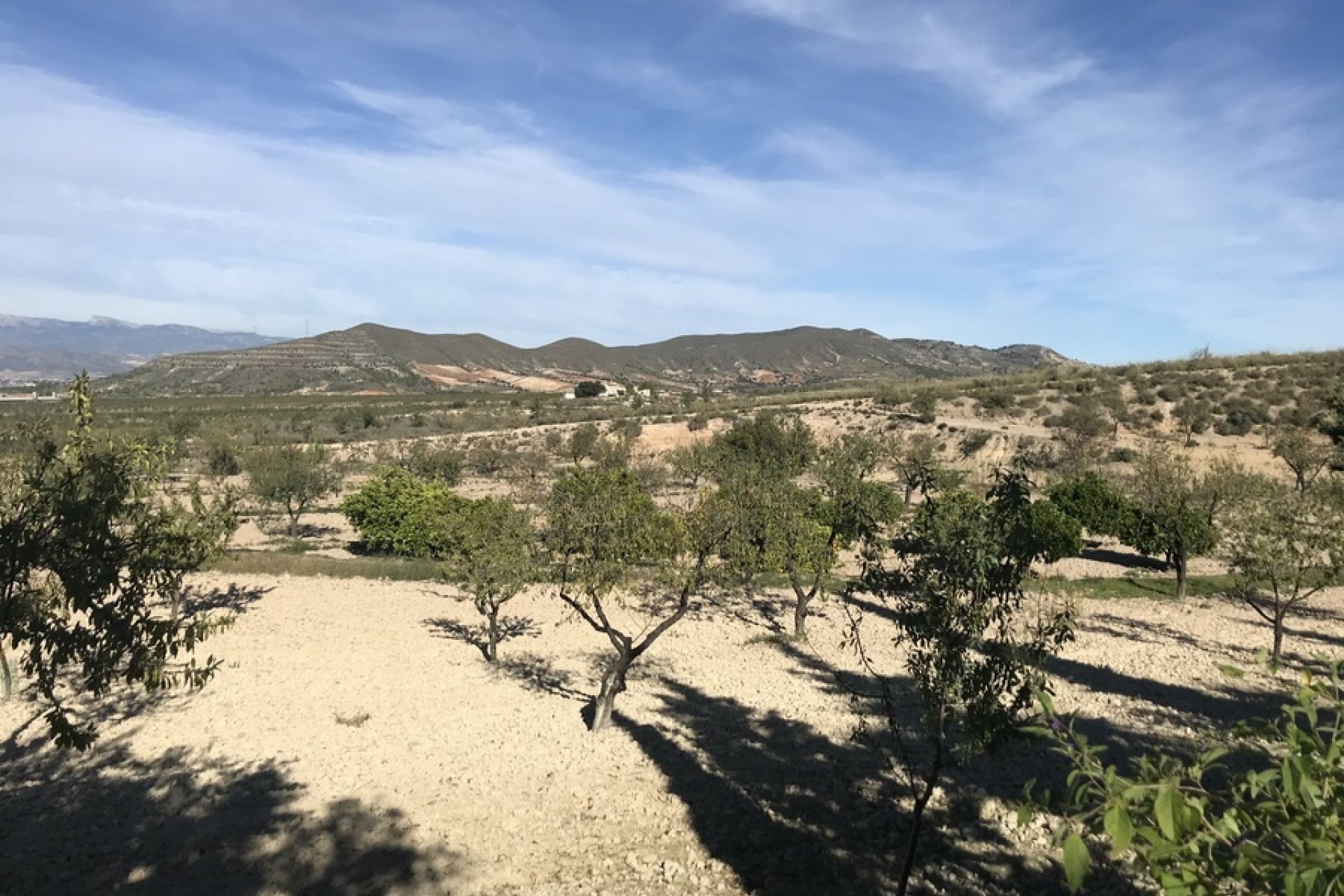 Resale - Finca -
Lorca - Costa Calida