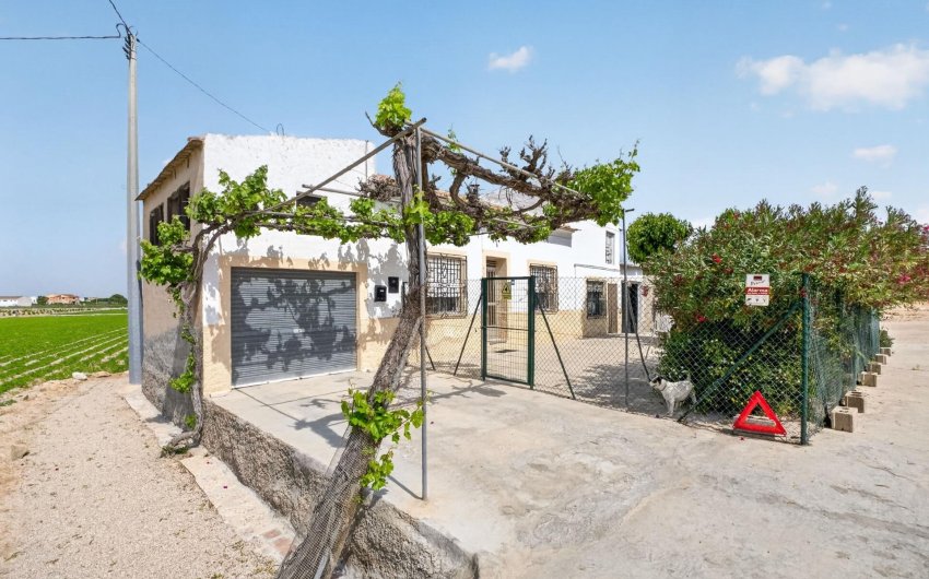 Resale - Finca -
Orihuela - Desamparados-hurchillo-torremendo