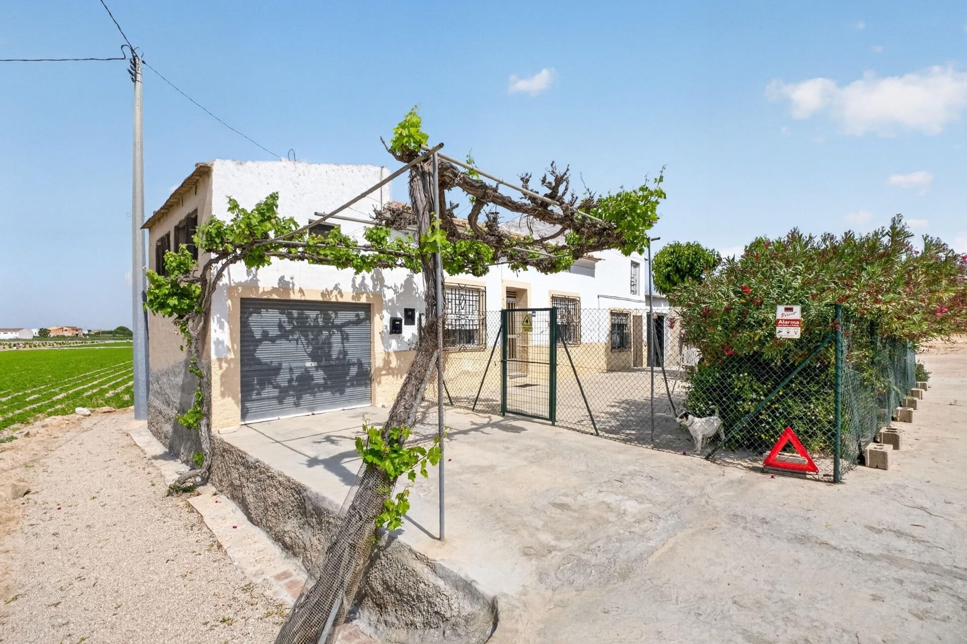 Resale - Finca -
Orihuela - Desamparados-hurchillo-torremendo