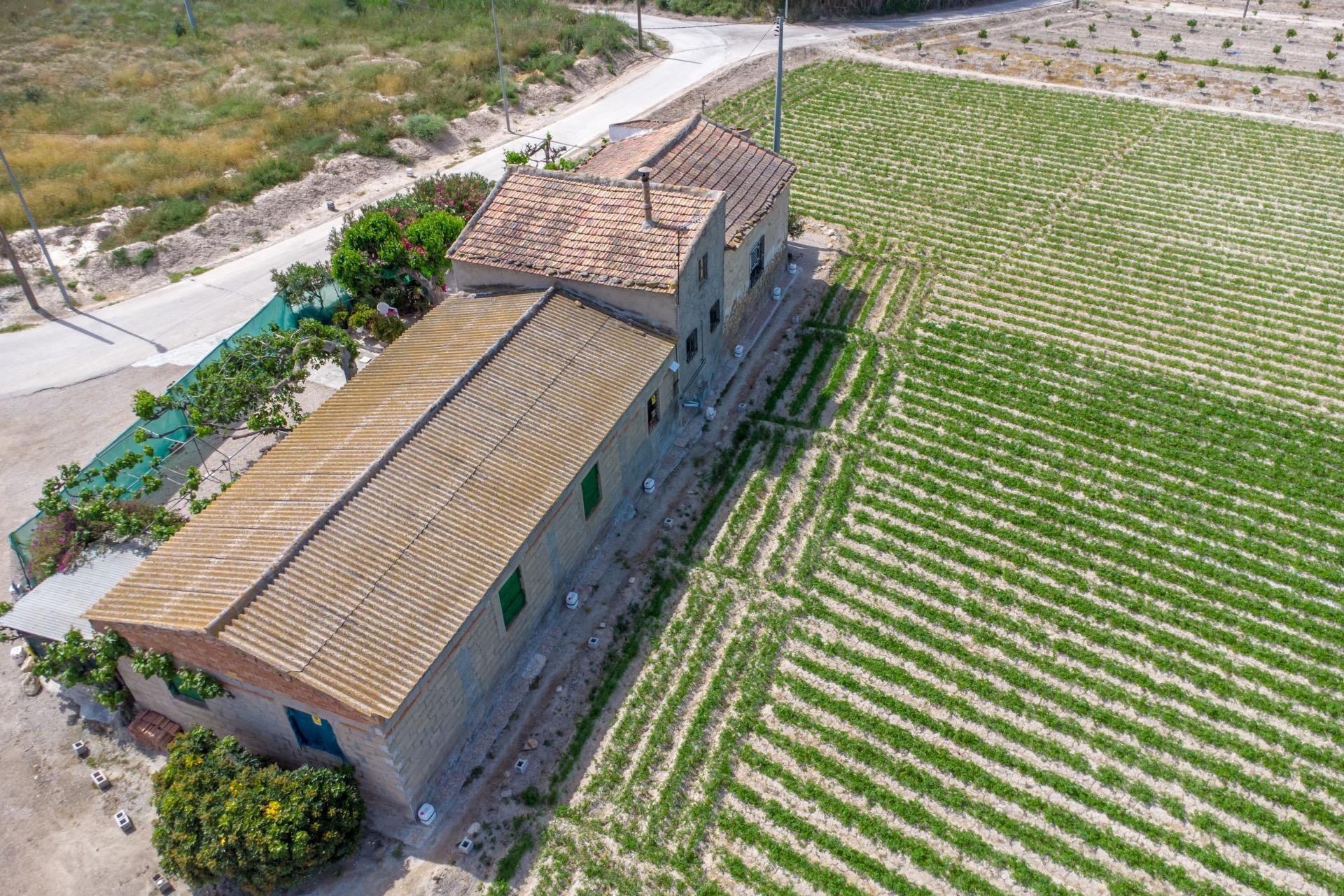 Resale - Finca -
Orihuela - Desamparados-hurchillo-torremendo
