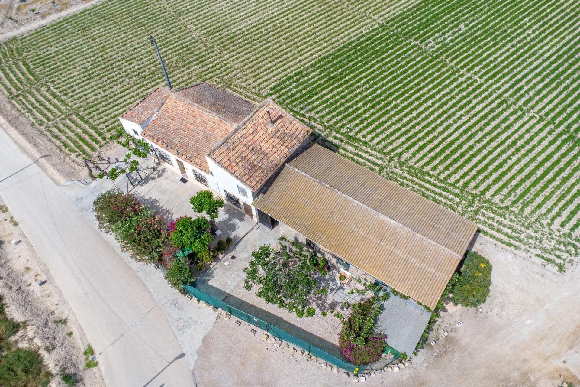 Resale - Finca -
Orihuela - Desamparados-hurchillo-torremendo