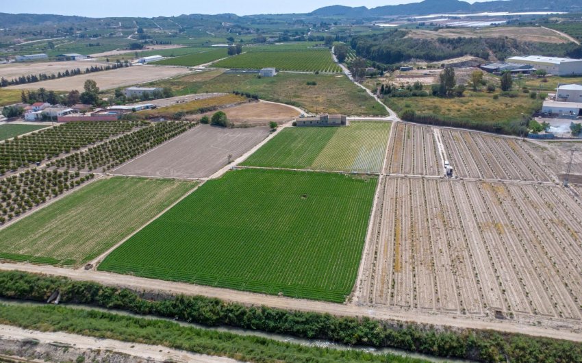 Resale - Finca -
Orihuela - Desamparados-hurchillo-torremendo